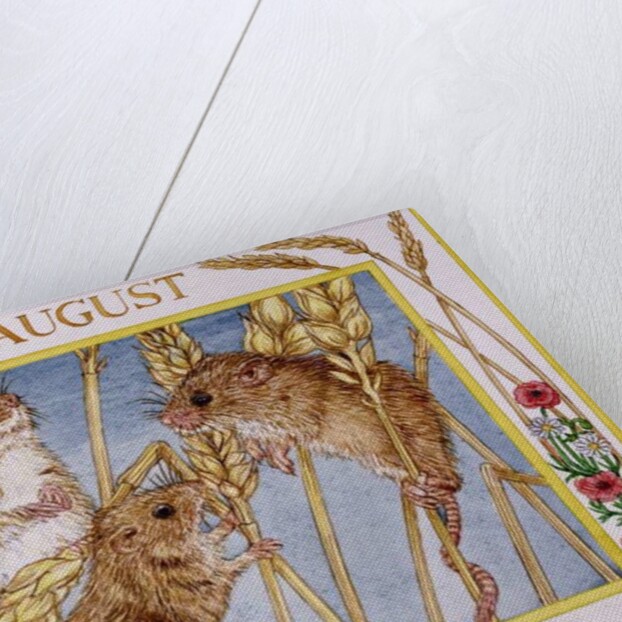 August by Catherine Bradbury