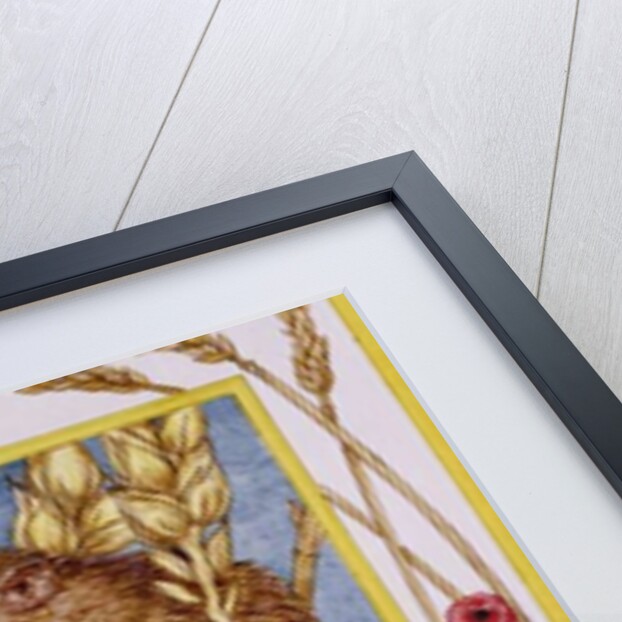 August by Catherine Bradbury