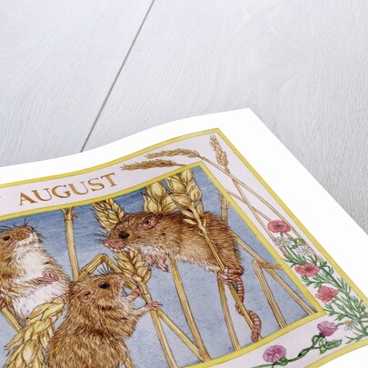 August by Catherine Bradbury