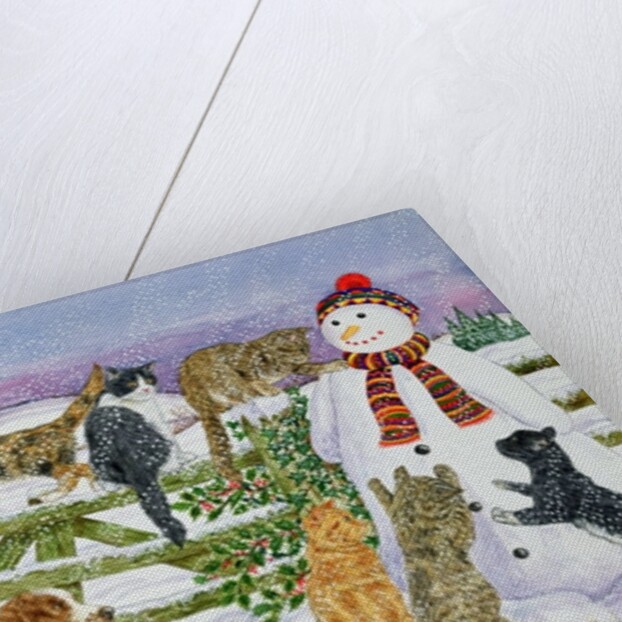 The Snowman and his Friends by Catherine Bradbury