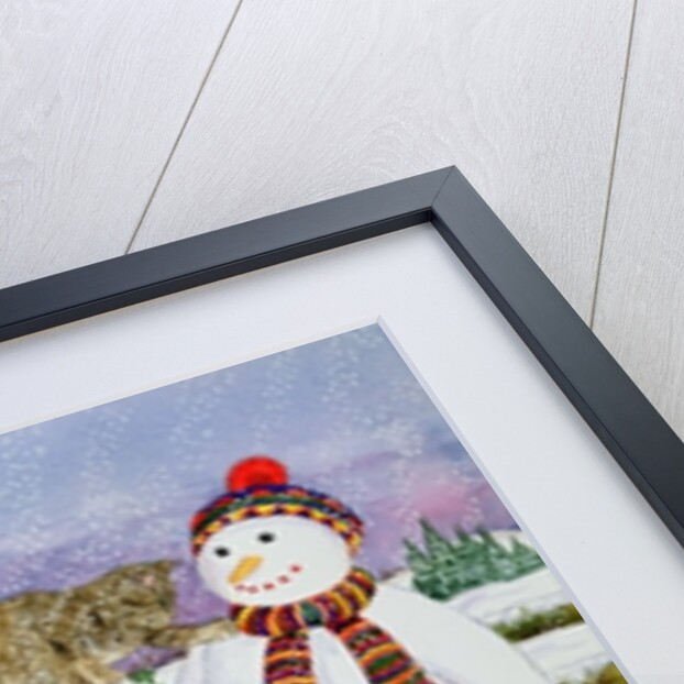 The Snowman and his Friends by Catherine Bradbury