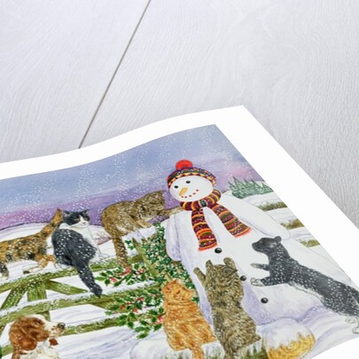 The Snowman and his Friends by Catherine Bradbury