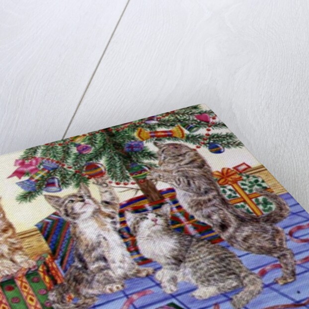 The Cats' Christmas by Catherine Bradbury