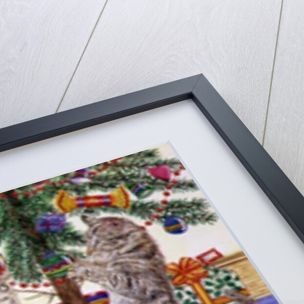 The Cats' Christmas by Catherine Bradbury