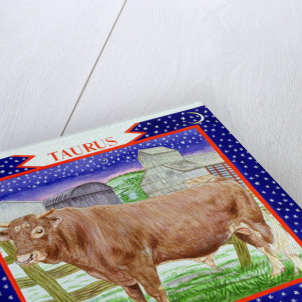 Taurus by Catherine Bradbury