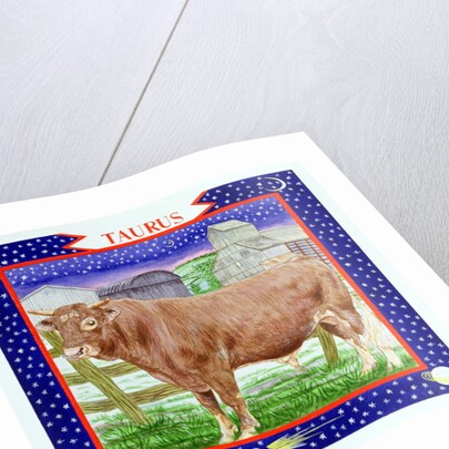 Taurus by Catherine Bradbury