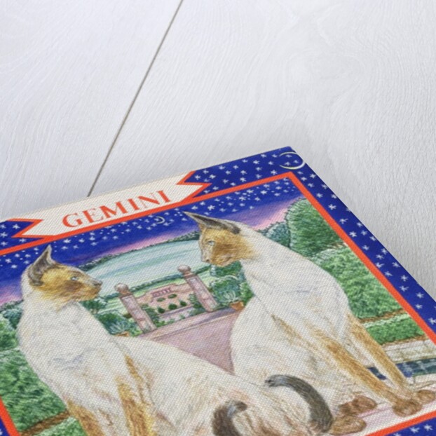 Gemini by Catherine Bradbury