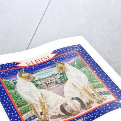 Gemini by Catherine Bradbury