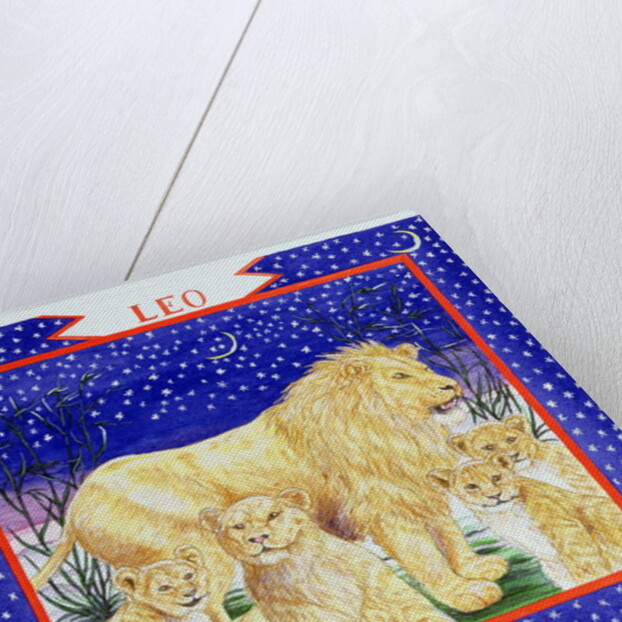 Leo by Catherine Bradbury