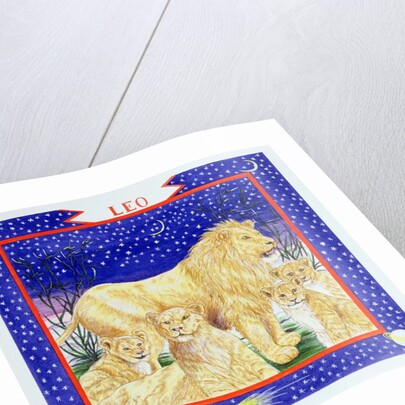 Leo by Catherine Bradbury