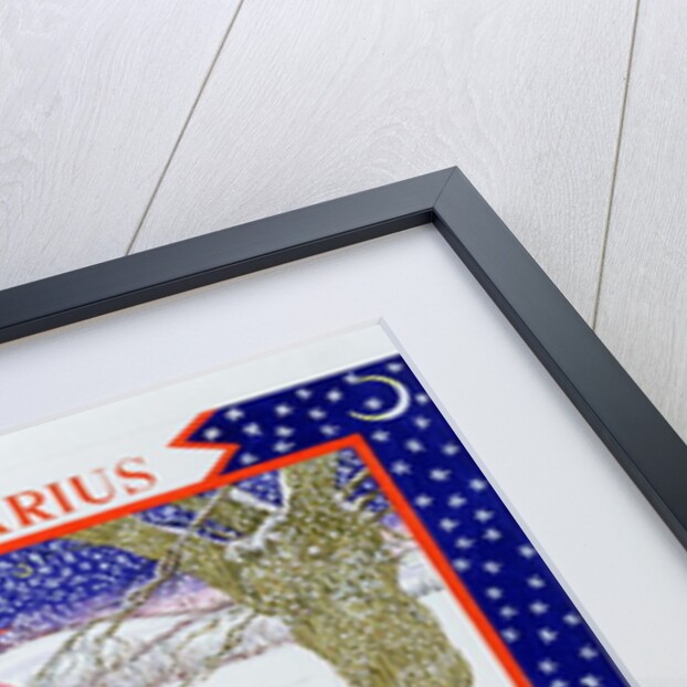 Sagittarius by Catherine Bradbury