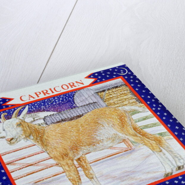 Capricorn by Catherine Bradbury
