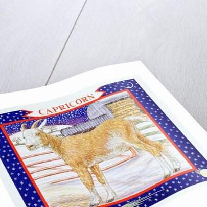 Capricorn by Catherine Bradbury
