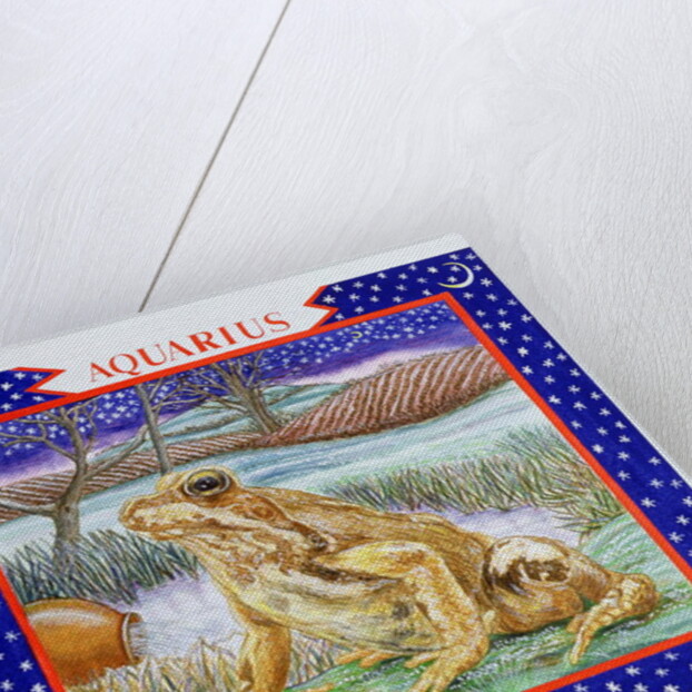 Aquarius by Catherine Bradbury