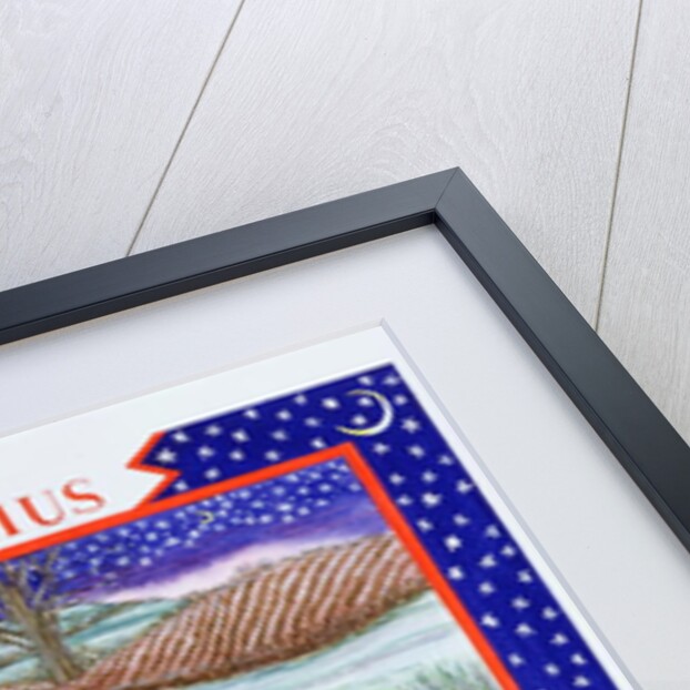 Aquarius by Catherine Bradbury