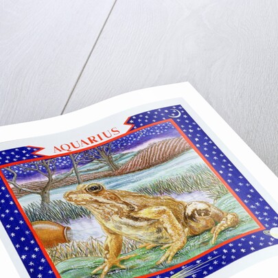 Aquarius by Catherine Bradbury