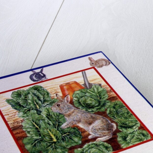 A Rabbit in the Cabbage Patch by Catherine Bradbury