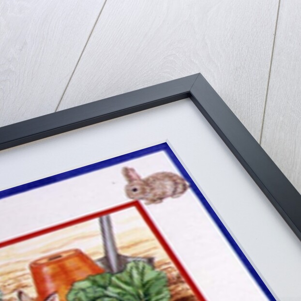 A Rabbit in the Cabbage Patch by Catherine Bradbury