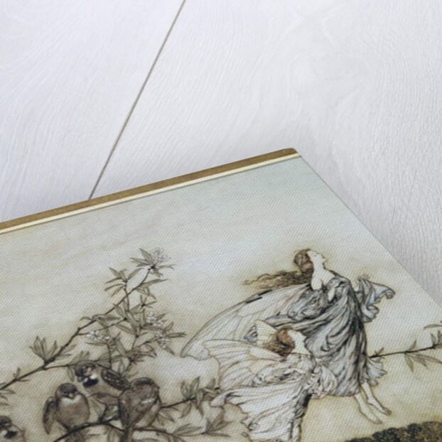 The Fairies have their Tiff with the Birds, 1906 by Arthur Rackham