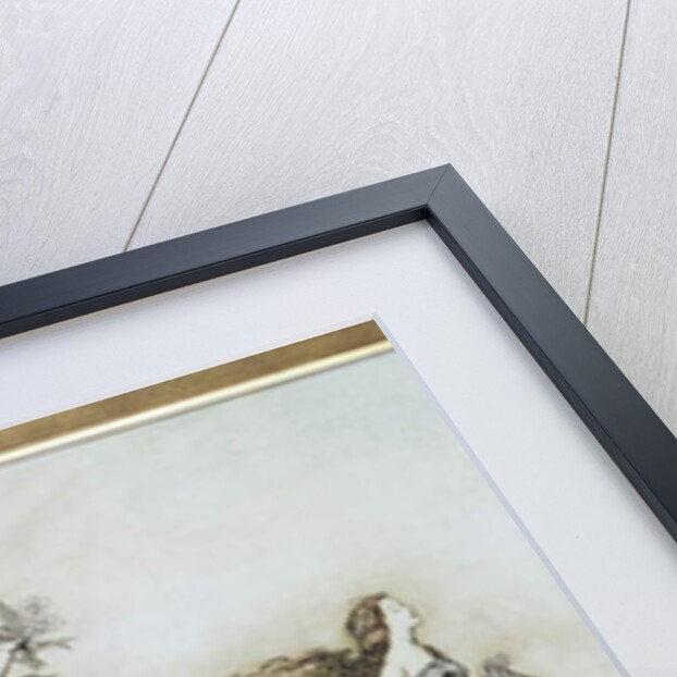 The Fairies have their Tiff with the Birds, 1906 by Arthur Rackham