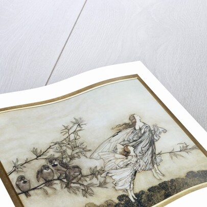 The Fairies have their Tiff with the Birds, 1906 by Arthur Rackham