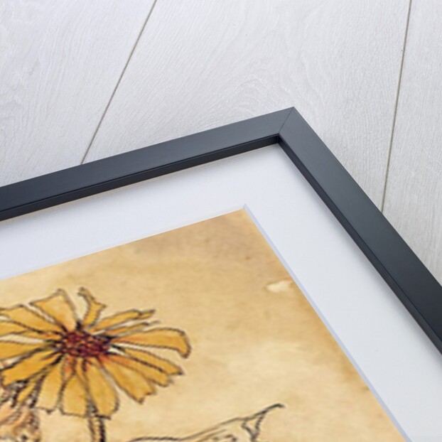 Daisy Fairy by Arthur Rackham