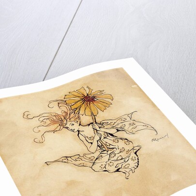 Daisy Fairy by Arthur Rackham