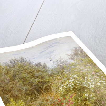 Roses in a Surrey Garden by Helen Allingham