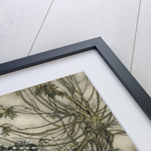 The Changeling, 1905 by Arthur Rackham