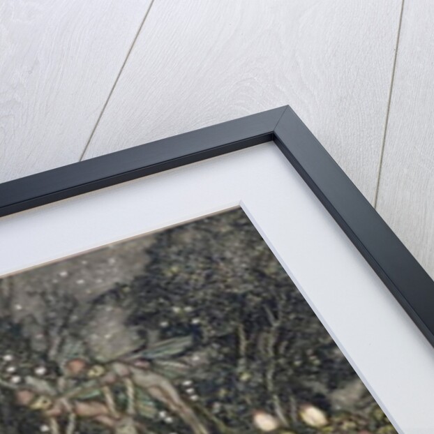 The Meeting of Oberon and Titania, 1905 by Arthur Rackham