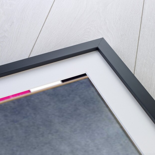 Peter Pan is the Fairies' Orchestra by Arthur Rackham