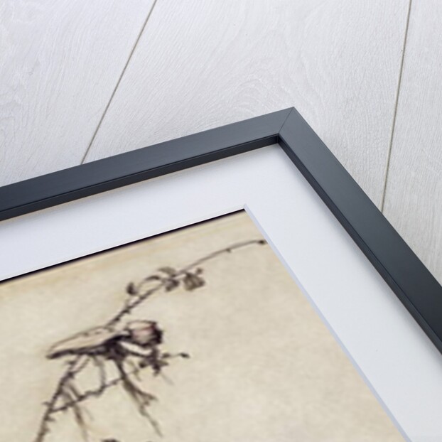 Sweetheart Roland by Arthur Rackham