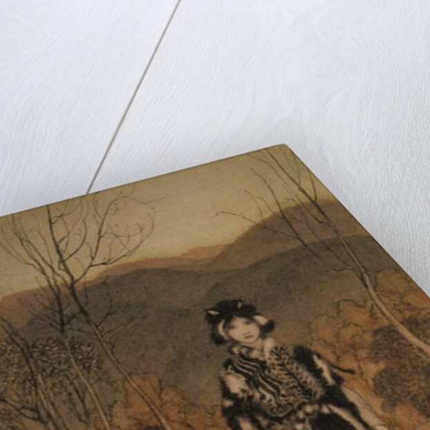 She went along, and went along, and went along dressed in catskin by Arthur Rackham