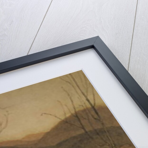 She went along, and went along, and went along dressed in catskin by Arthur Rackham