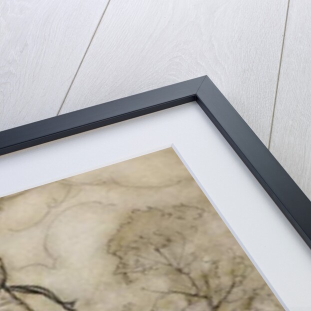 Balloons by Arthur Rackham