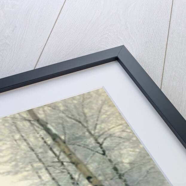 Winter Sunset by James Thomas Watts