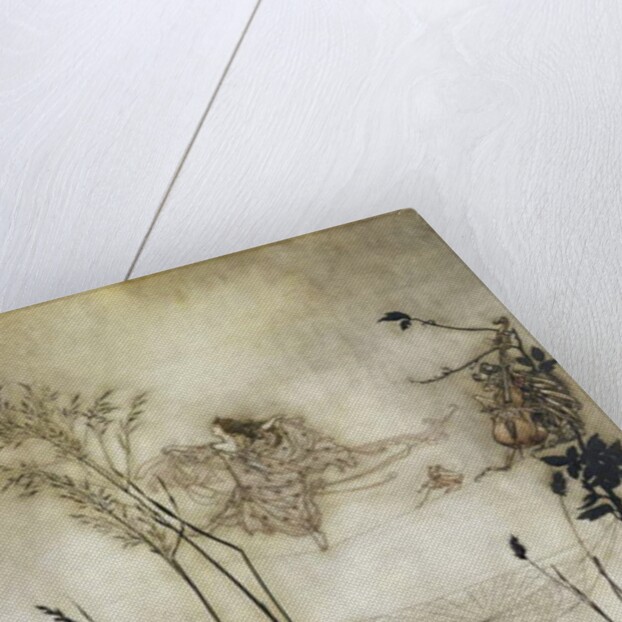 The Fairies are Exquisite Dancers, illustration in 'Peter Pan in Kensington Gardens' by J.M Barrie 1906 by Arthur Rackham