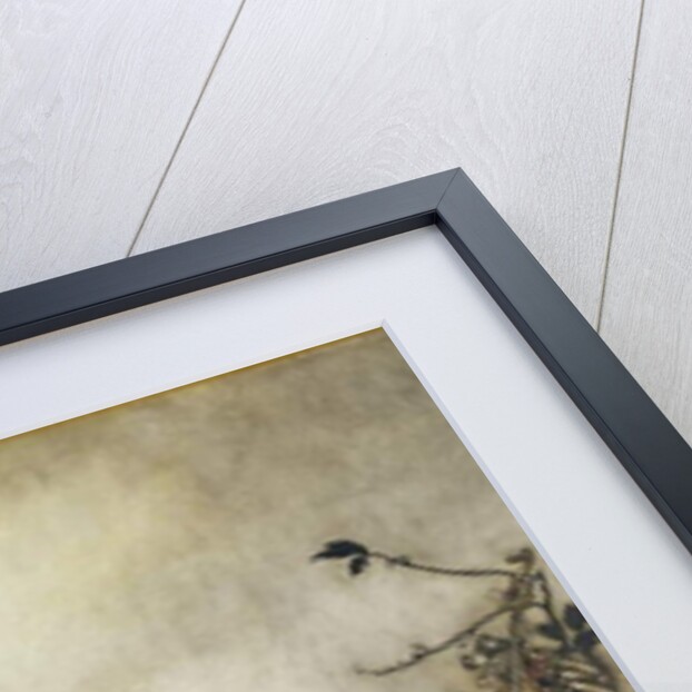 The Fairies are Exquisite Dancers, illustration in 'Peter Pan in Kensington Gardens' by J.M Barrie 1906 by Arthur Rackham