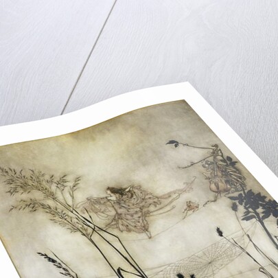 The Fairies are Exquisite Dancers, illustration in 'Peter Pan in Kensington Gardens' by J.M Barrie 1906 by Arthur Rackham