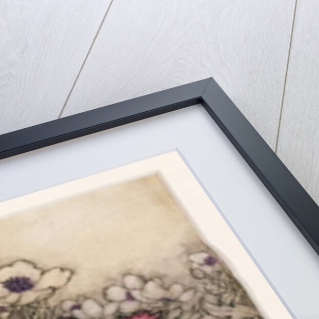 Illustration from 'Peter Pan in Kensington Gardens' by J.M. Barrie 1906 by Arthur Rackham