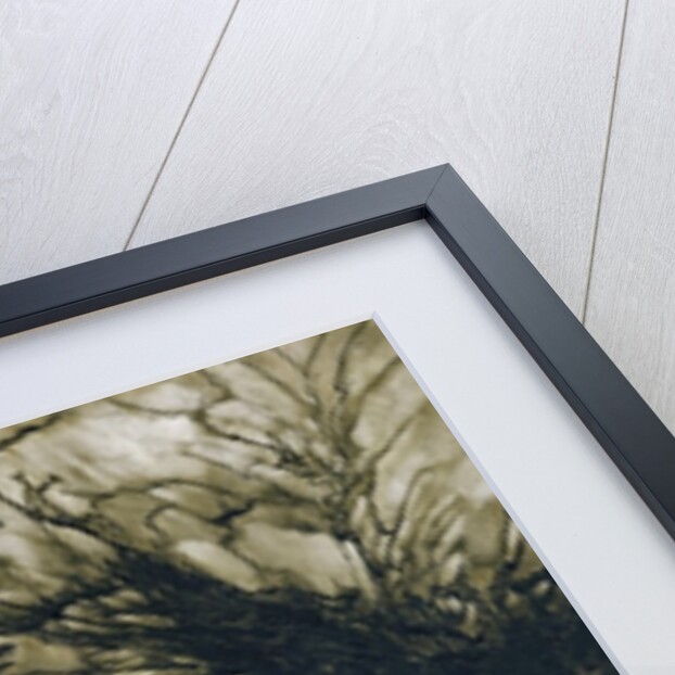 Brunnhilde, 1910 by Arthur Rackham