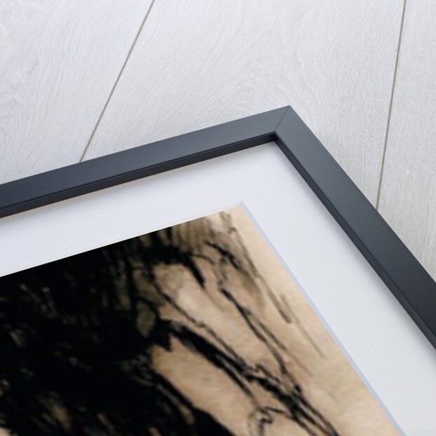 A Most Terrific Giant by Arthur Rackham