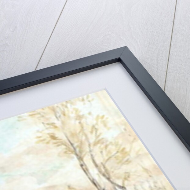 Three Wood Nymphs Gathering Flowers by Arthur Rackham