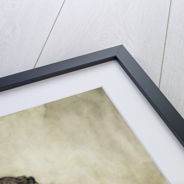 When Her Majesty Wants to Know the Time by Arthur Rackham