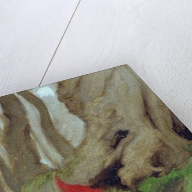 A Gnome by Tree Roots, 1928 by Arthur Rackham