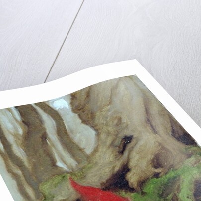 A Gnome by Tree Roots, 1928 by Arthur Rackham