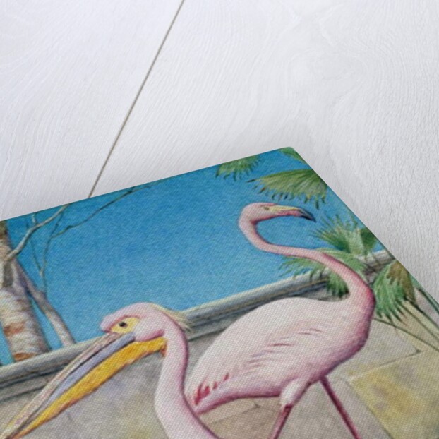 Pelican and Flamingo by Henry Stacy Marks