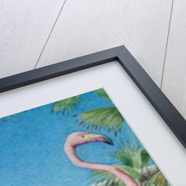 Pelican and Flamingo by Henry Stacy Marks