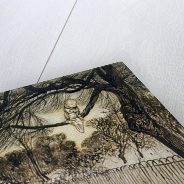 Peter Pan on a Branch, scene from 'Peter Pan in Kensington Gardens' by J.M Barrie, 1912 by Arthur Rackham