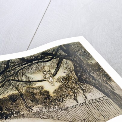 Peter Pan on a Branch, scene from 'Peter Pan in Kensington Gardens' by J.M Barrie, 1912 by Arthur Rackham
